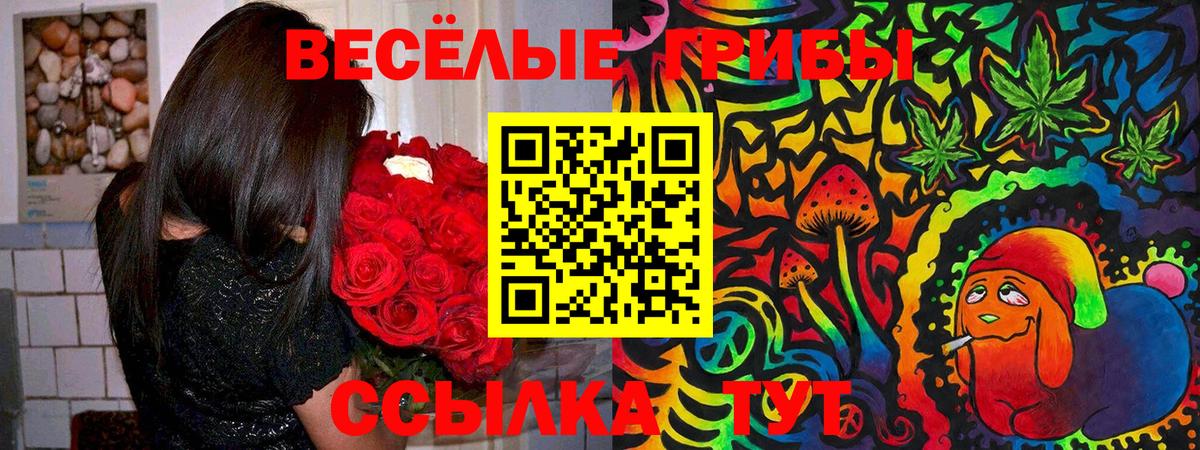 Галлюциногенные грибы Psilocybe  Псилоцибиновые грибы Cubensis  Нерюнгри  Вход с VPN 