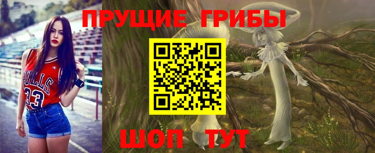 Псилоцибиновые грибы GOLDEN TEACHER Нерюнгри